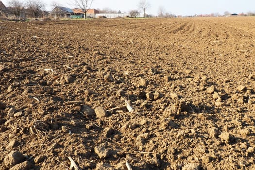 Arable field ready for spring agricultural work. Plowed black earth. Cornmeal on the ground. Fertile soil for planting. Fertilizers are the key to a good harvest. Agricultural work.