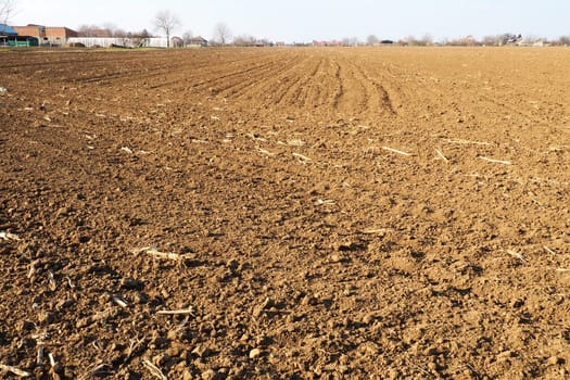 Arable field ready for spring agricultural work. Furrows from the passage of a tractor or combine. Cornmeal on the ground. Fertile soil for planting. Fertilizers are the key to a good harvest