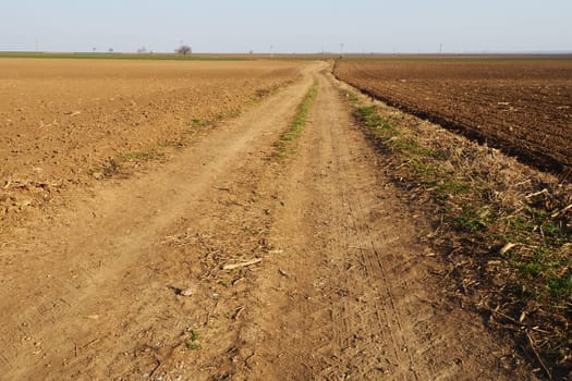 Arable field ready for spring agricultural work. Furrows from a tractor or combine. Cornmeal on the ground. Fertile soil for planting. Fertilizers are the key to a good harvest. Road in the field