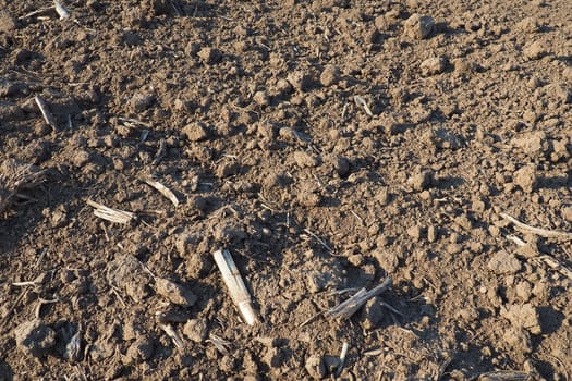 Arable field ready for spring agricultural work. Plowed black earth. Cornmeal on the ground. Fertile soil for planting. Fertilizers are the key to a good harvest. Agricultural work.