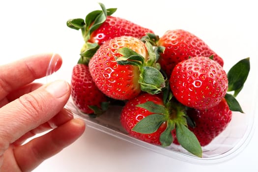 Ripe strawberries in a plastic package on a white background. Delicious fresh berries in a container for sale to customers. Keeping food fresh. Healthy food. Woman's hand holding strawberries