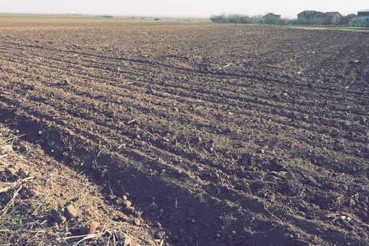 Arable field ready for spring agricultural work. Furrows from the passage of a tractor or combine. Cornmeal on the ground. Fertile soil for planting. Fertilizers are the key to a good harvest