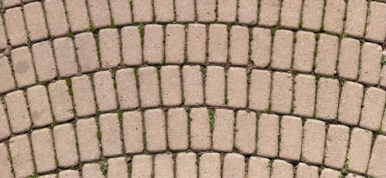 Cobbled street of the old city, lined with square and rectangular stone tiles in a chaotic manner. Soft beige or yellow colors and tones. The texture of the stone. Geometric pattern