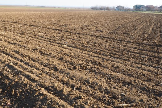 Arable field ready for spring agricultural work. Furrows from the passage of a tractor or combine. Cornmeal on the ground. Fertile soil for planting. Fertilizers are the key to a good harvest