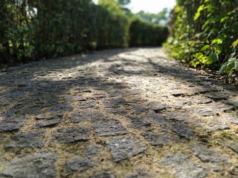 A cobblestone ground covered in dry leaves under sunlight - a cool picture for backgrounds. Old paving stones in a park covered with moss and dry grass. In the background defocused vegetation