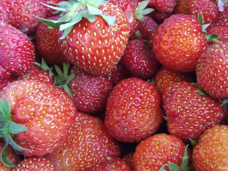 Beautiful smooth red ripe strawberry closeup. A lot of strawberry berries with green leaves. Vegetarian food full of vitamins, minerals and nutrients. Garden strawberries in the store