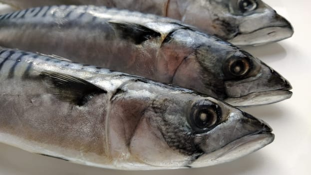 fresh fish with heads on a light background. Three fish were brought from the store and ready to be cut. Sea food.