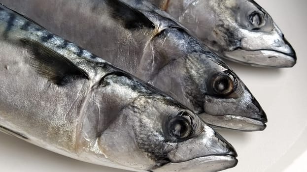 fresh fish with heads on a light background. Three fish were brought from the store and ready to be cut. Sea food.