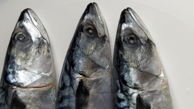 fresh fish with heads on a light background. Three fish were brought from the store and ready to be cut. Sea food.