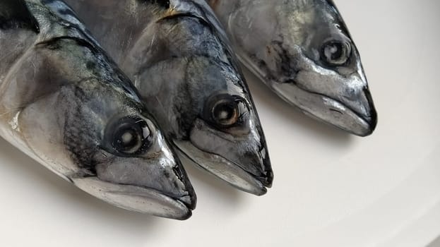 fresh fish with heads on a light background. Three fish were brought from the store and ready to be cut. Sea food.
