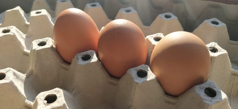 Chicken eggs in a carton. Beige eggs in a container when illuminated by spring sunlight. Ingredients. Agricultural products. Farm food. Proper protein nutrition. Recycled packaging. Demography concept