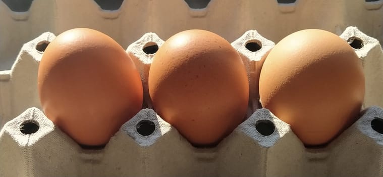 Chicken eggs in a carton. Beige eggs in a container when illuminated by spring sunlight. Ingredients. Agricultural products. Farm food. Proper protein nutrition. Recycled packaging. Demography concept