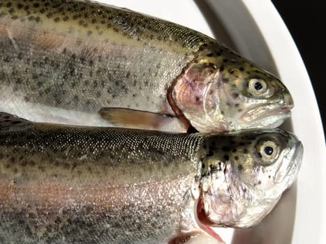 Two trout fish on a white plate. Fresh edible fish close-up. Shiny scales on the body, transparent eyes of the fish. High in omega-3 unsaturated fatty acids for a healthy diet. Mediterranean diet.
