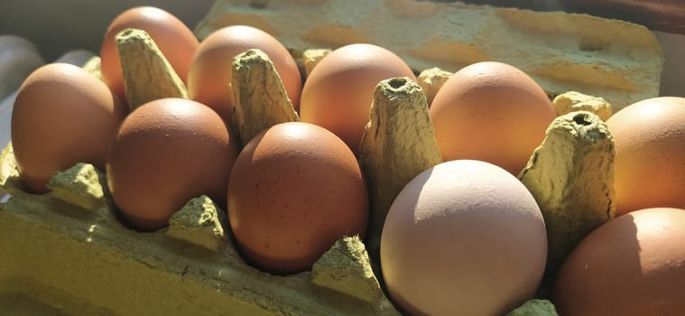 Chicken eggs in a carton. Beige eggs in a container when illuminated by spring sunlight. Ingredients. Agricultural products. Farm food. Proper protein nutrition. Recycled packaging. Demography concept