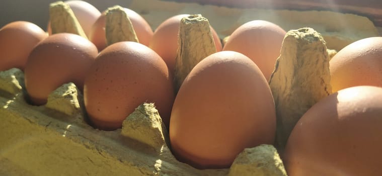 Chicken eggs in a carton. Beige eggs in a container when illuminated by spring sunlight. Ingredients. Agricultural products. Farm food. Proper protein nutrition. Recycled packaging. Demography concept