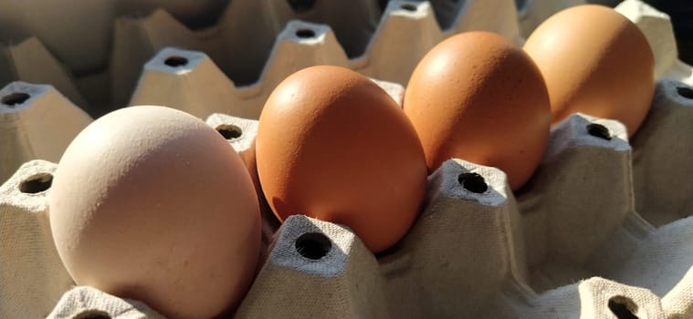Chicken eggs in a carton. Beige eggs in a container when illuminated by spring sunlight. Ingredients. Agricultural products. Farm food. Proper protein nutrition. Recycled packaging. Demography concept