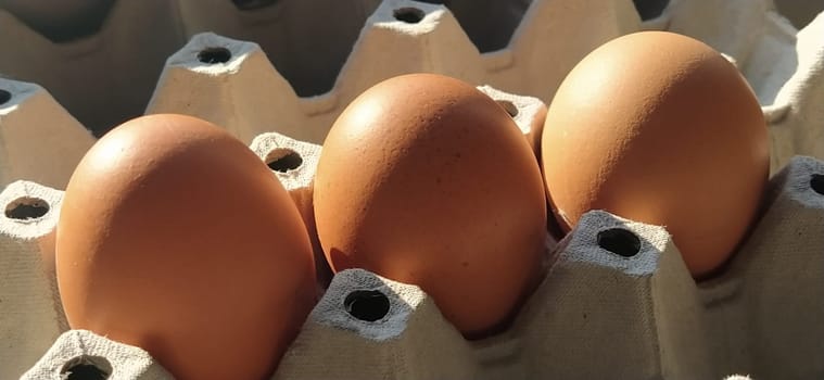 Chicken eggs in a carton. Beige eggs in a container when illuminated by spring sunlight. Ingredients. Agricultural products. Farm food. Proper protein nutrition. Recycled packaging. Demography concept
