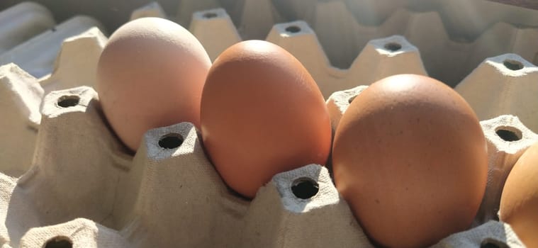 Chicken eggs in a carton. Beige eggs in a container when illuminated by spring sunlight. Ingredients. Agricultural products. Farm food. Proper protein nutrition. Recycled packaging. Demography concept