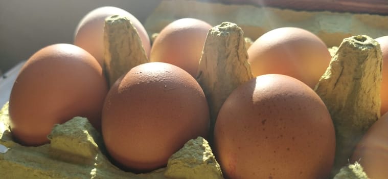 Chicken eggs in a carton. Beige eggs in a container when illuminated by spring sunlight. Ingredients. Agricultural products. Farm food. Proper protein nutrition. Recycled packaging. Demography concept