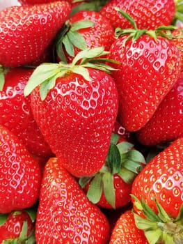 Red ripe strawberries. A lot of strawberry berries with green leaves closeup. Vegetarian plant food with vitamins, minerals and nutrients. Strawberries in the store.
