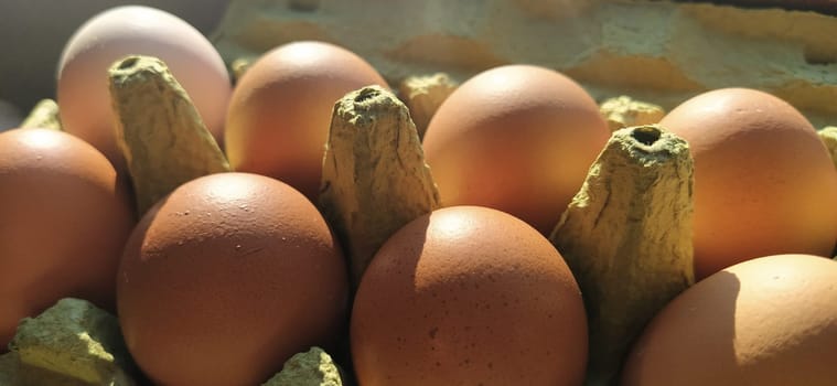 Chicken eggs in a carton. Beige eggs in a container when illuminated by spring sunlight. Ingredients. Agricultural products. Farm food. Proper protein nutrition. Recycled packaging. Demography concept