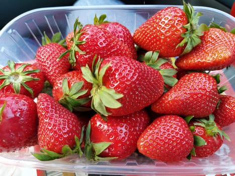 Fresh strawberries in a transparent plastic container. Beautiful red berries of garden strawberry.