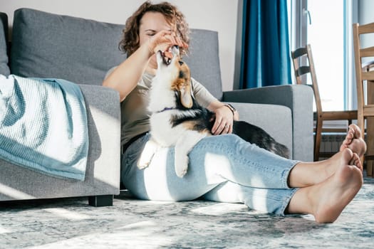 Curly haired glad, cheerful barefoot woman with dog corgi. Obedience training, feeding of pet, sitting, relaxing and playing on floor in comfortable living room near sofa. Weekend leisure activity