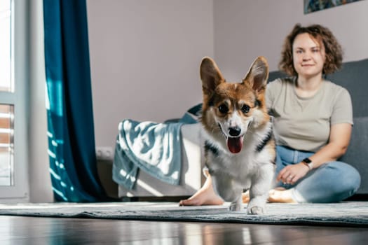 Curly haired glad, cheerful barefoot woman with dog corgi sitting, relaxing and playing on floor in comfortable living room, near sofa. Active and healthy animal, healthcare. Weekend leisure activity