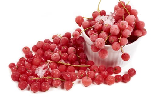 Frozen currants with stems in porcelain bowl