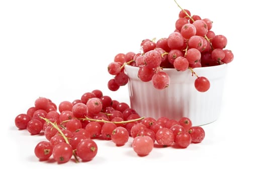 Frozen currants with stems in porcelain bowl