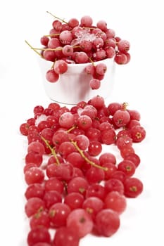 Frozen currants with stems in porcelain bowl