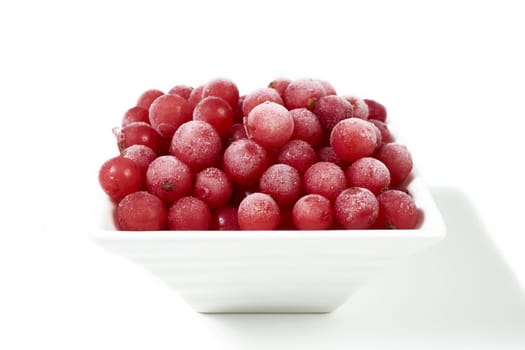 Porcelain bowl with frozen currants