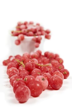 Frozen currants with stems in porcelain bowl