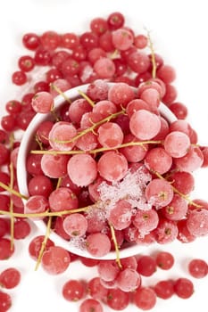 Frozen currants with stems in porcelain bowl