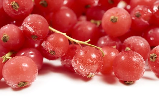 Frozen currants against a white background