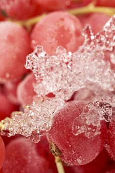 Macro of frozen currants with ice crystals