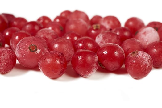 Frozen currants coated with ice crystals