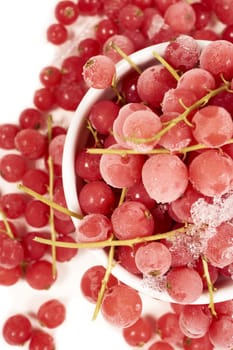 Frozen currants with stems in porcelain bowl