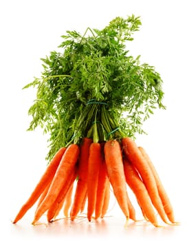 Fresh carrots bunch isolated on white background