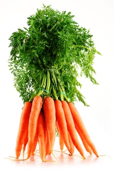 Fresh carrots bunch isolated on white background