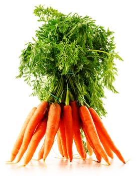 Fresh carrots bunch isolated on white background