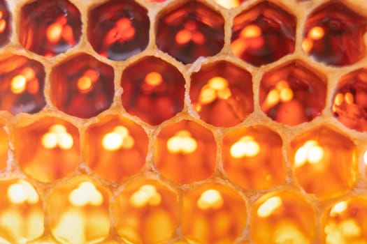 Close-up of bee honeycombs of geometric hexagonal shapes full of tasty honey reflecting light. Beekeeping, apiculture, bee farming, background, texture, pattern, wallpaper, health care, food, beehive.