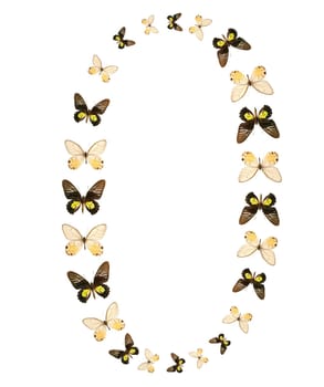 Zero number butterfly show isolated