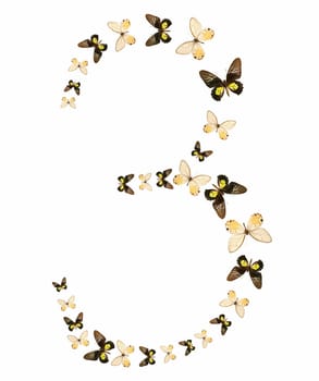 Three number butterfly show isolated