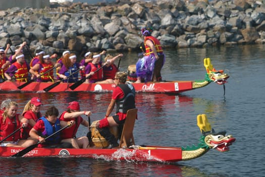 Dragon boat races on Lake Champlain in Burlington, Vermont, USA.  The races are held to raise money for breast cancer survivors.