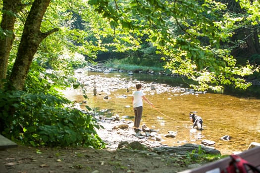 Dog in Stream in Stowe, VT.
