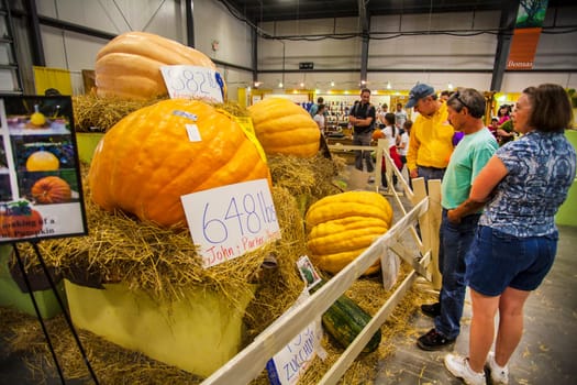 Giant Pumpkin at the Champlain Valley  Fair in Essex Junction, VT.