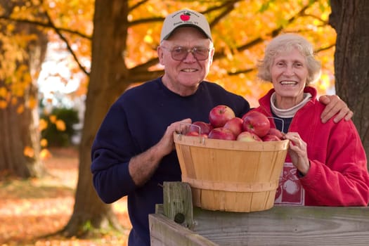 The Hackett's Apple Orchard in South Hero, VT.