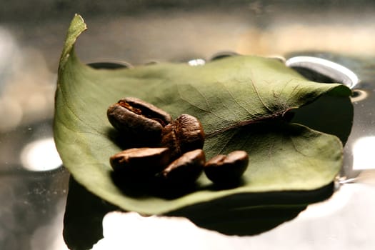 leaf and coffe beans background in water