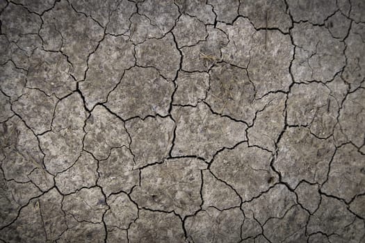 Detail of climate change and environmental destruction